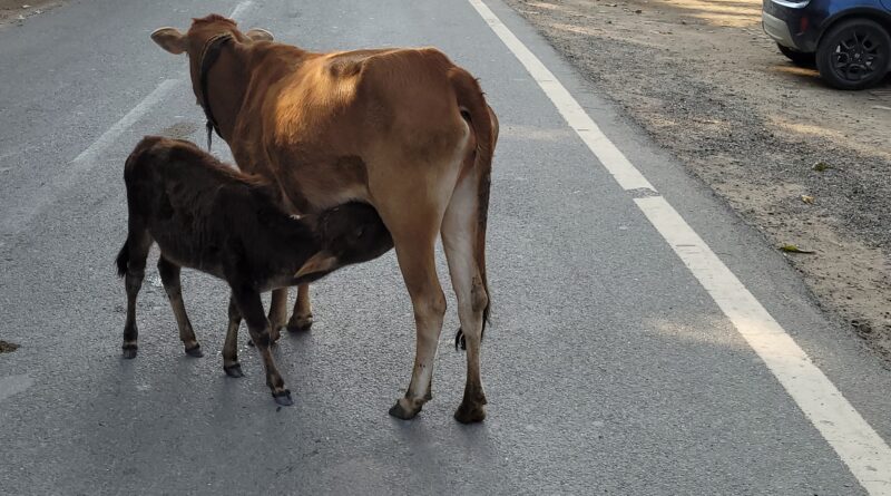 हरिओम आश्रम में तोड़फोड़ दोनों तरफ से मुकदमा दर्ज