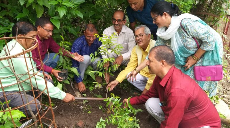 हरेला सप्ताह के उपलक्ष में गढभूमि लोकसंस्कृति संरक्षण समिति ने पूजा अर्चना एवं वृक्षारोपण किया।