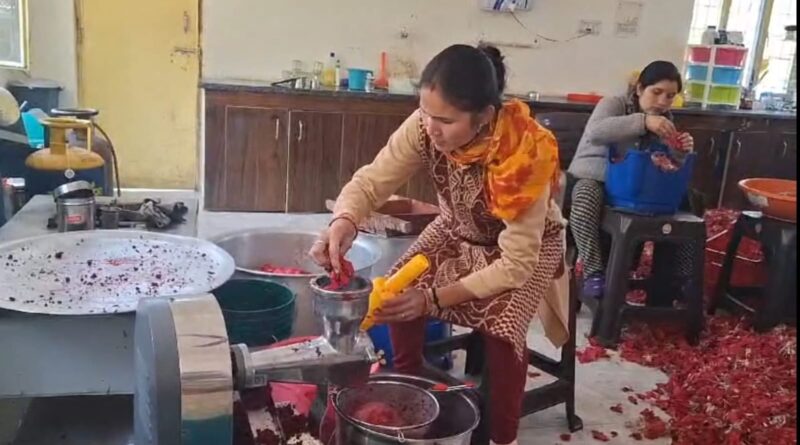 बुरांश के फूल बने आजीविका के साधन