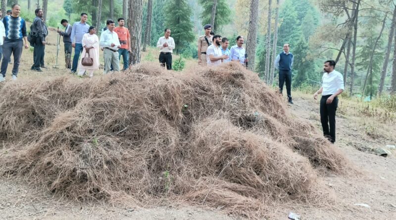 सतपुली में होगी पिरुल ब्रिकेटिंग यूनिट की स्थापना। वनाग्नि का नहीं, आर्थिकी का कारक बनेगा पिरुल – डीएम