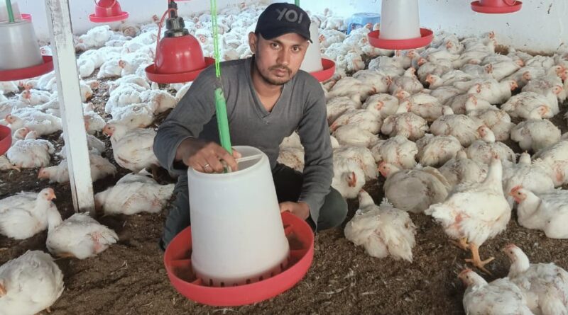 बीरोंखाल ब्लॉक के बवांसा मल्ला निवासी नागेंद्र ने रिवर्स पलायन कर जगाई स्वरोजगार की उम्मीद