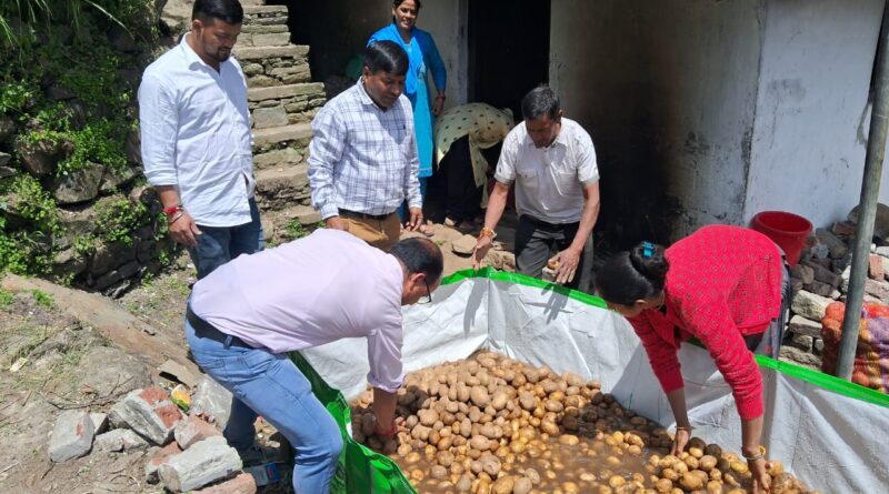 प्रमाणिक आलू बीज उपलब्ध कराने वाला बना थलीसैंण ब्लॉक का जल्लू गांव