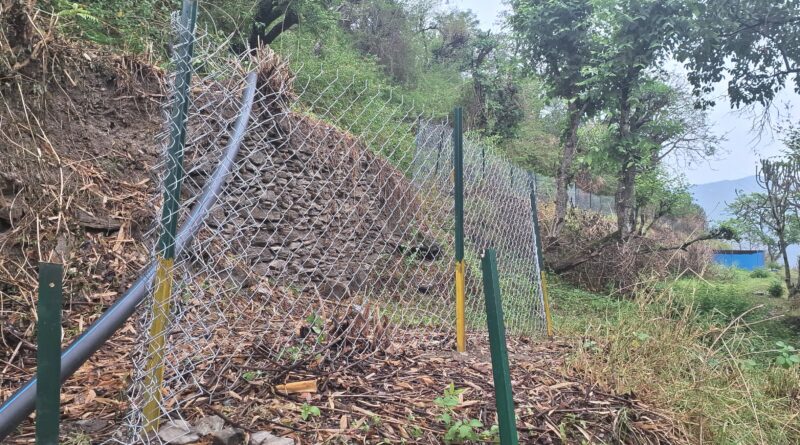 तिमली गांव बना आत्मनिर्भरता का प्रतीक, ग्रामीण सहभागिता से खेती को मिली नई दिशा