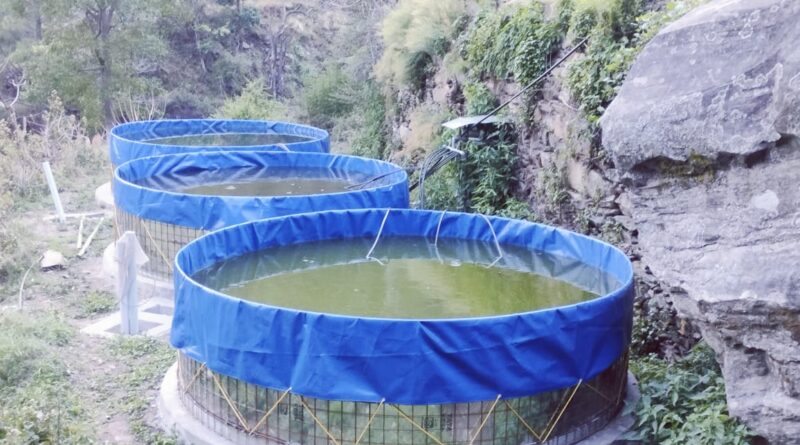 ग्वाड़ीगाड़ गांव बना मत्स्य ग्राम, किसानों की मेहनत से बदली गांव की तस्वीर