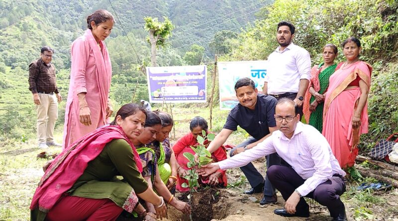 डोभ श्रीकोट व मल्ली गांव में 300 बेड़ू के पौधों का रोपण किया गया