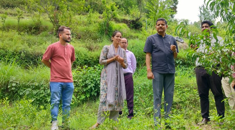 फूलों और औषधीय पौधों से संवर रहा स्वरोजगार का सपना