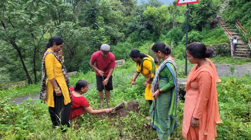 छतिण्डा गांव में युवाओं की अनूठी पहल, लैंटाना उन्मूलन के साथ शुरू किया पर्यावरण और सुरक्षा का अभियान