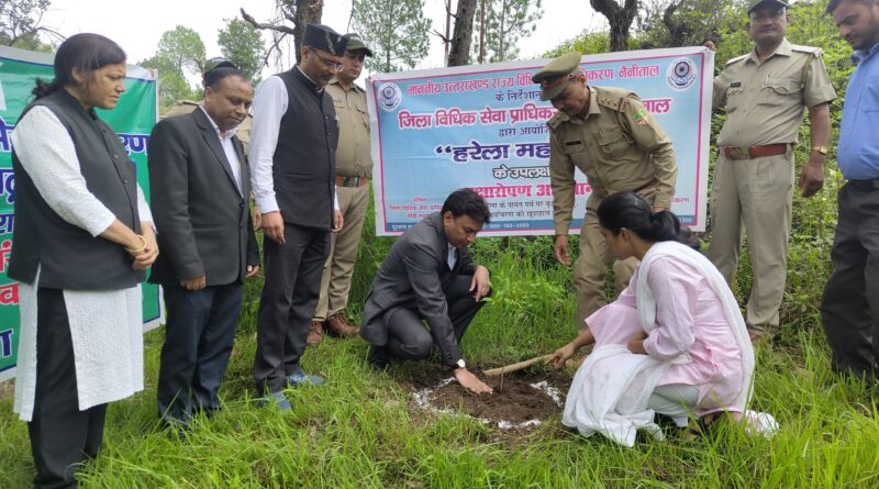 जिला विधिक सेवा प्राधिकरण की पहल पर टेका मार्ग पर रोपे विभिन्न प्रजाति के पौधे