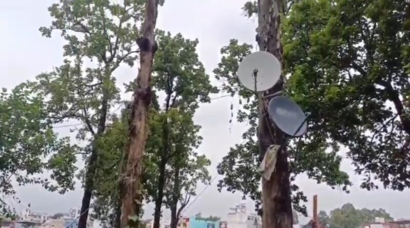 रायपुर में हरियाली की कब्रगाह बन रहा ननूरखेड़ा जंगल, वोट बैंक के लिए उजड़ रही प्रकृति