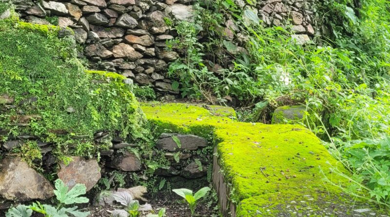 बरसात में सीसी मार्ग पर काई जमने से बढ़ा खतरा – खड़िंचा मार्ग मार्ग अधिक कारगर