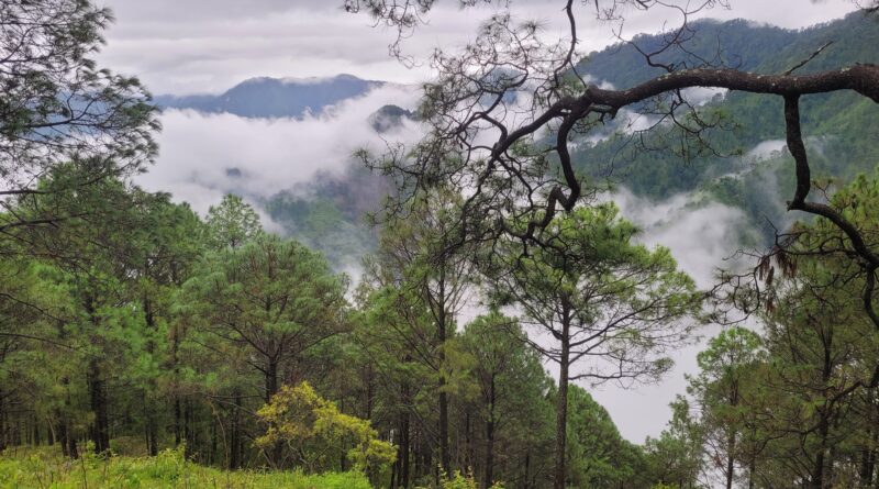 पौड़ी जनपद में अधिकांश क्षेत्रों में हल्की वर्षा