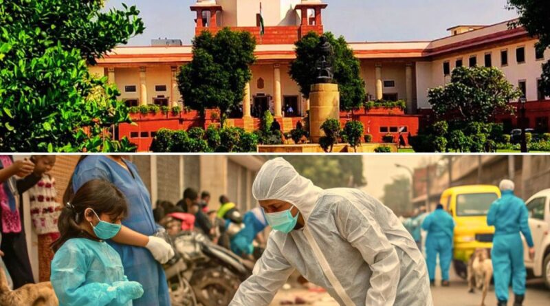 दिल्ली-एनसीआर के आवारा कुत्तों का आदेश:&nbsp;&nbsp; विरोध में कई कथित पशु प्रेमी खड़े