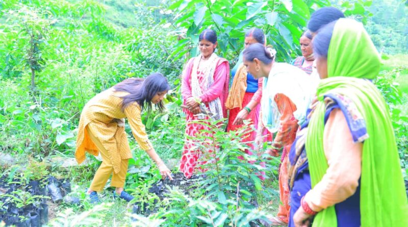 उच्च मूल्य और गुणवत्ता वाली फसलों पर फोकस करें: जिलाधिकारी