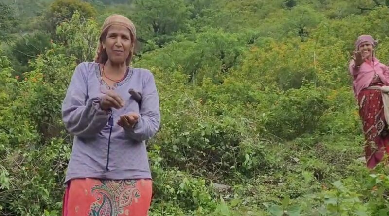 पंचायत चुनावों में राष्ट्रीय दलों के प्रति दिखा आक्रोश, जनता ने सुनाई खरी-खरी