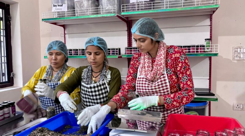 ग्रामोत्थान परियोजना से रुका पलायन, ग्रामीण क्षेत्रों में बढ़ रहा उद्यमिता विकास