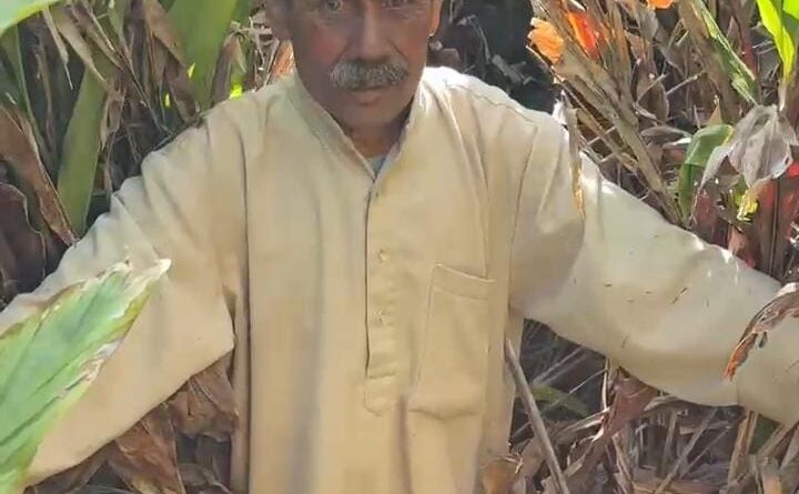 75 वर्षीय किसान जगपाल सिंह रावत बने आत्मनिर्भर उत्तराखंड की मिसाल, बागवानी से कर रहे समृद्धि की नई शुरुआत