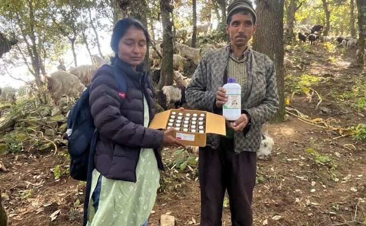 घुमंतु पशुपालकों के बीच जागरूकता एवं उपचार हेतु पशु चिकित्सा शिविर आयोजित