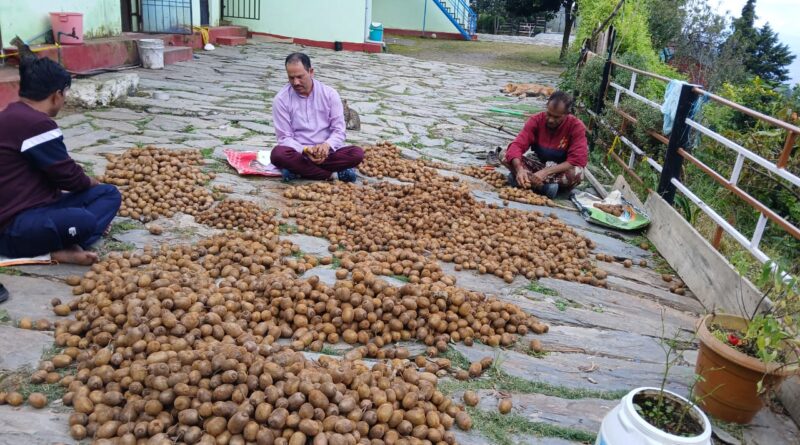 पौड़ी के किसान कुलदीप जोशी बने आत्मनिर्भरता की मिसाल