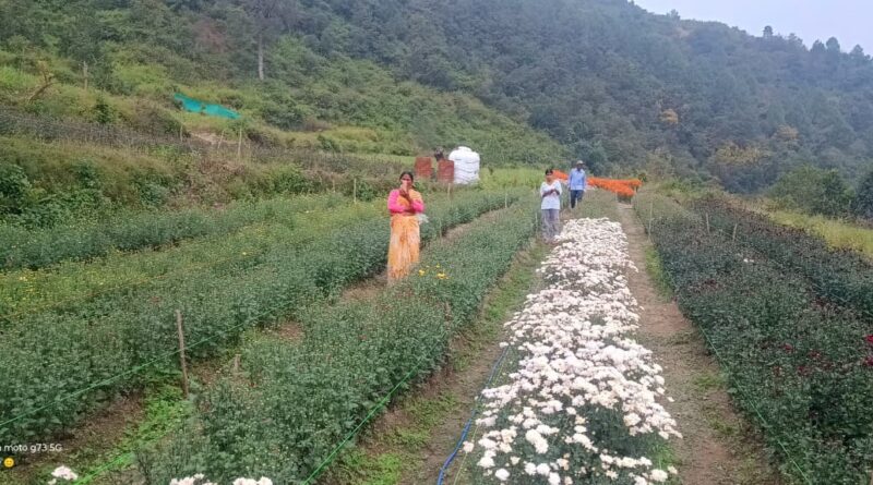 कुण्ड ग्राम में सहकारिता आधारित सामूहिक खेती बना ग्रामीण विकास का प्रेरक मॉडल