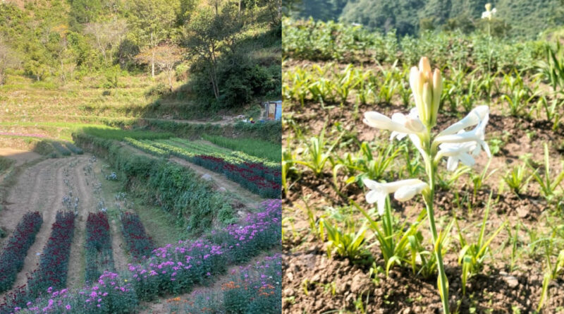 सहकारिता से समृद्धि की ओर: पौड़ी के दूरस्थ गांवों में फ्लोरीकल्चर से किसानों की आय में नई बहार