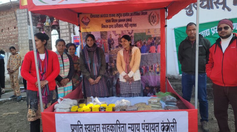 जन–जन की सरकार कार्यक्रम में सामने आई सच्चाई, न्याय पंचायत पुल्यासू में समूह तो हैं पर कामकाज ठप