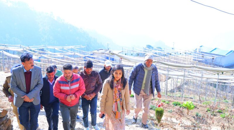 डीएम स्वाति भदौरिया ने धुमाकोट तहसील व पटेलिया सेब नर्सरी का किया निरीक्षण, तीन दिन में जनसमस्याओं के निस्तारण के निर्देश