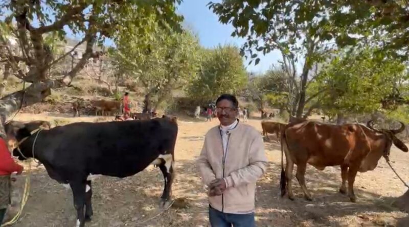 कुल्हाड़ गांव में पहली बार पशु प्रदर्शनी का आयोजन, पशुपालकों में उत्साह
