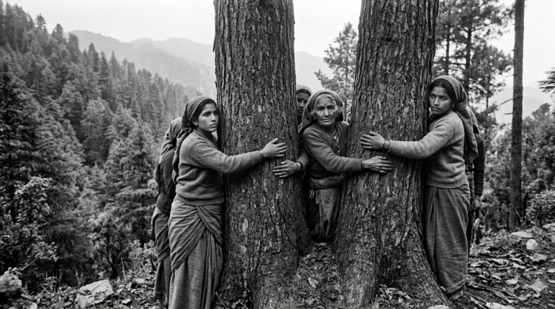 चिपको आंदोलन: जंगल, जीवन और जनसंकल्प की अमर गाथा
