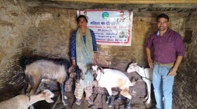 पशुपालन योजनाओं से ग्रामीणों को मिल रहा स्वरोजगार, 500 से अधिक लाभार्थी हुए लाभान्वित