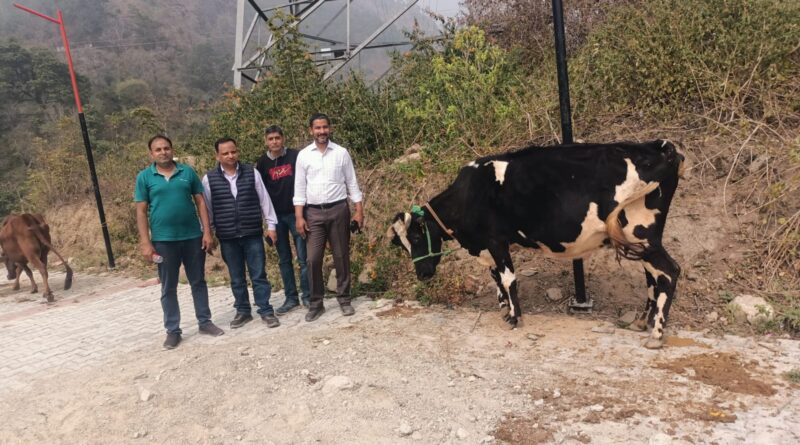 दुगड्डा में भव्य पशु प्रदर्शनी, उन्नत नस्ल के पशुओं को किया गया सम्मानित