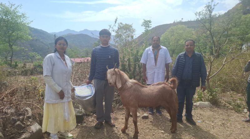 पोखड़ा में पशु प्रदर्शनी का आयोजन, 47 पशुपालकों ने लिया हिस्सा