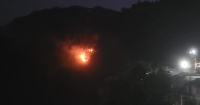 जंगलों की आग से बढ़ा खतरा, पर्यावरण व वन्यजीवों पर गंभीर असर