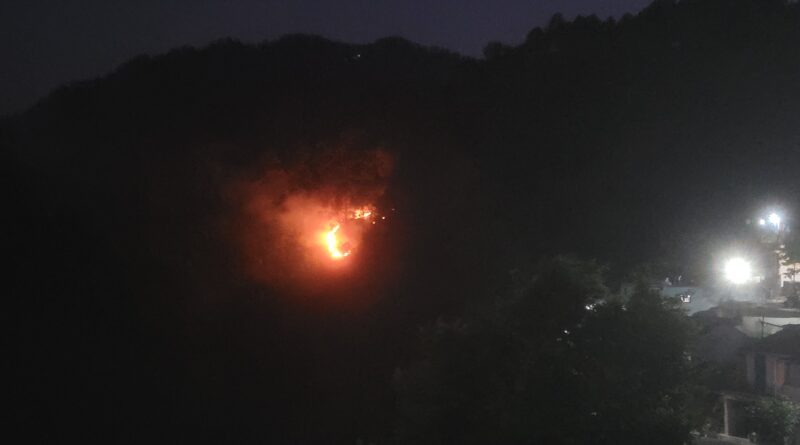 जंगलों की आग से बढ़ा खतरा, पर्यावरण व वन्यजीवों पर गंभीर असर