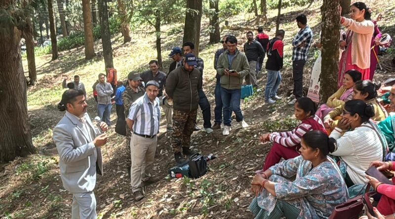 बोर होल पद्धति’ से महिलाओं को मिलेगा रोजगार, पौड़ी में जल्द शुरू होगा लीसा विदोहन कार्य