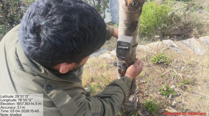 पोखड़ा में गुलदार की सक्रियता के बाद वन विभाग अलर्ट, सुरक्षा के लिए कड़े इंतजाम