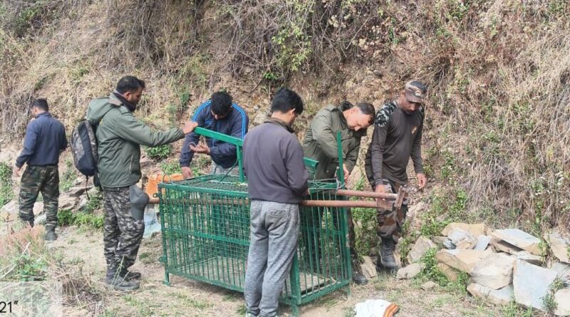 मानव-वन्यजीव संघर्ष पर कड़ा कदम: पोखड़ा क्षेत्र में गुलदार को पकड़ने व नष्ट करने के आदेश