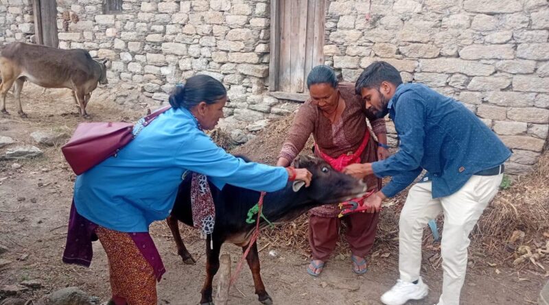 “पशु सखी” बनीं ग्रामीणों की नई उम्मीद