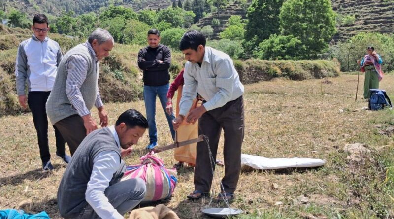 गेहूं क्रॉप कटिंग में 30 वर्ग मीटर में 4.6 किलो उत्पादन दर्ज