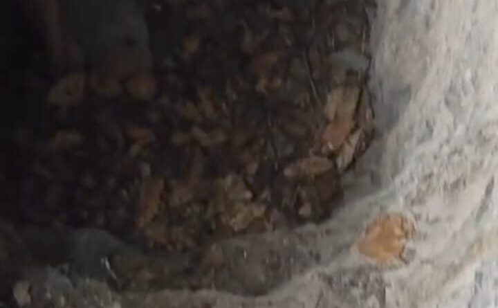 कोट ब्लॉक में प्राचीन सुरंग की खोज, ऐतिहासिक धरोहर के अहम संकेत