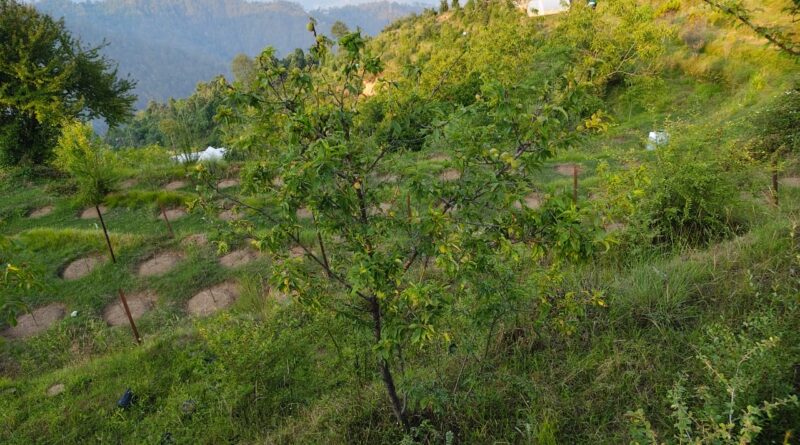 12 साल बाद भी अधूरा चिरबटिया कृषि महाविद्यालय, करोड़ों की इमारतें बनी खंडहर
