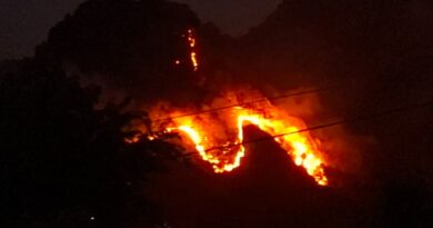 मेवाड़ गांव के जंगलों में भीषण आग, प्रशासनिक दावों पर उठे सवाल