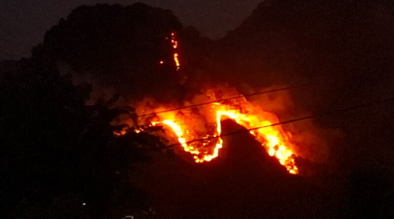 मेवाड़ गांव के जंगलों में भीषण आग, प्रशासनिक दावों पर उठे सवाल