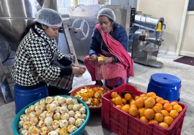 माल्टा के छिलकों से आत्मनिर्भरता की नई कहानी, पहाड़ की महिलाओं को मिला स्वरोजगार का मजबूत आधार