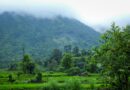 बारिश से मिली गर्मी और जंगलों की आग से राहत, जलस्रोतों में बढ़ी उम्मीद