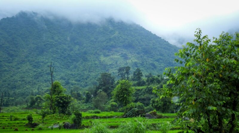 बारिश से मिली गर्मी और जंगलों की आग से राहत, जलस्रोतों में बढ़ी उम्मीद