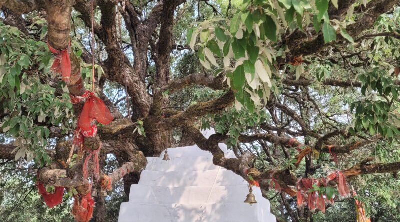 चैलूसैंण: श्री नागदेव गढ़ी से 17वीं कांवड़ यात्रा 6 अगस्त से होगी शुरू