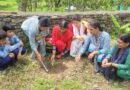 हरेला पर्व पर राजकीय प्राथमिक विद्यालय उत्तिण्डा में हुआ वृक्षारोपण