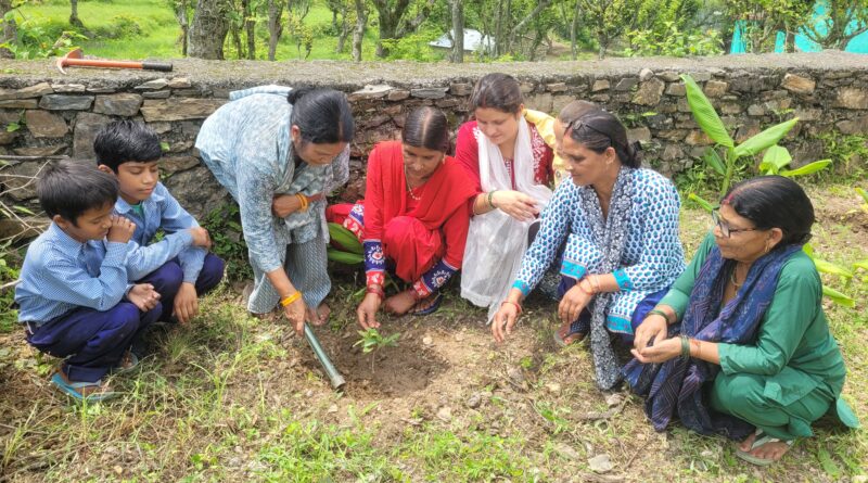 हरेला पर्व पर राजकीय प्राथमिक विद्यालय उत्तिण्डा में हुआ वृक्षारोपण