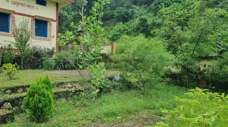 पौड़ी के 34 आयुष्मान आरोग्य मंदिरों में बनेंगे औषधीय उद्यान