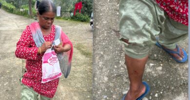 यमकेश्वर में गुलदार के हमले से महिला घायल, दरांती से वार कर बचाई जान